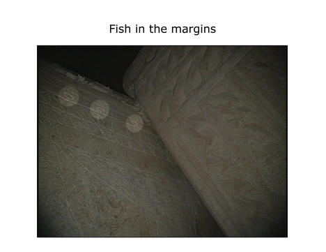 Image from the thejesusdiscovery.org website captioned as "Fish in the margins".